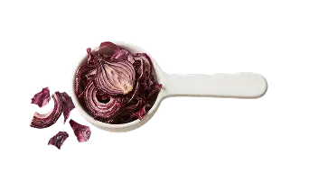 Dehydrated Onion Slices