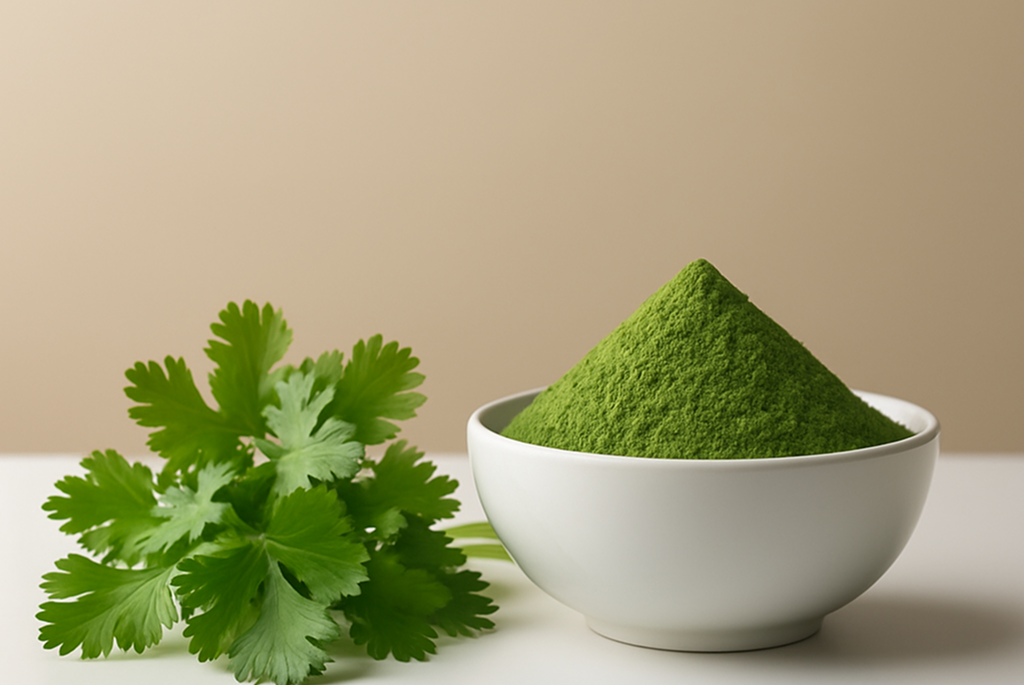 Coriander Leaf Powder