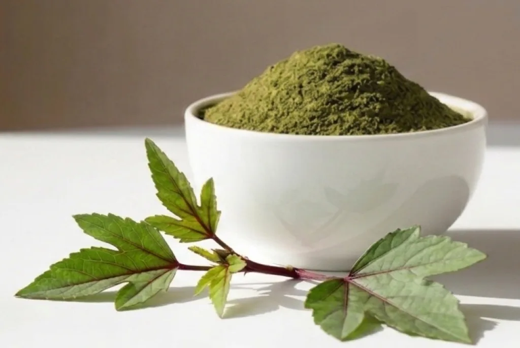 Gongura Powder